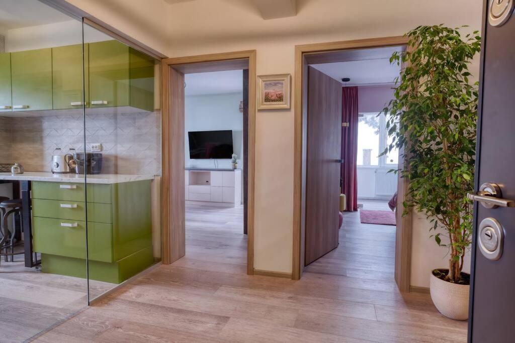 Central Luxury Apartment With City View Brassó Kültér fotó