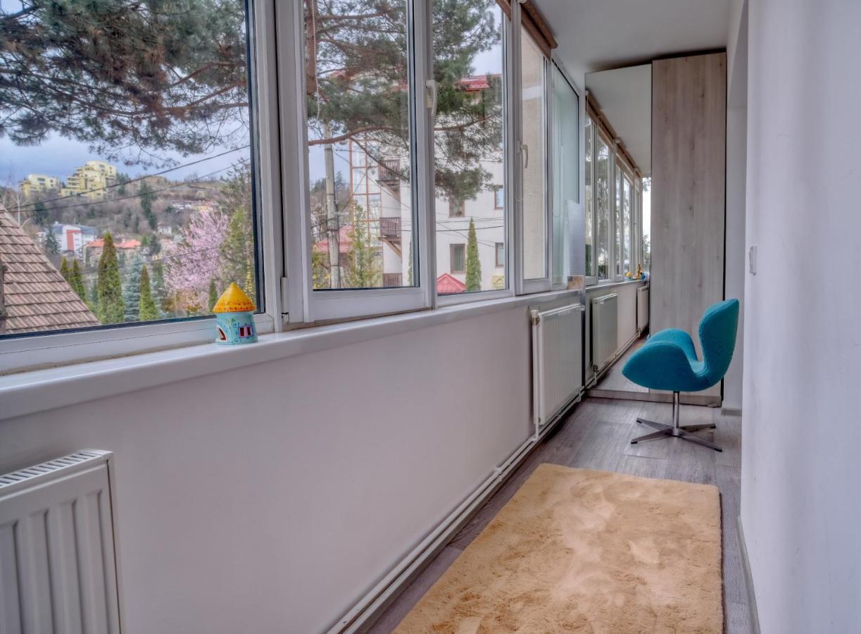 Central Luxury Apartment With City View Brassó Kültér fotó